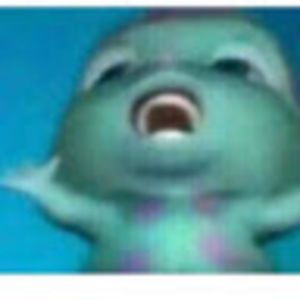 Meet your Posher, Tayler